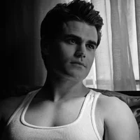 - stefan salvatore 