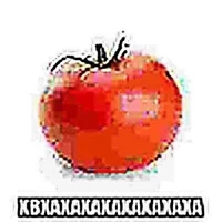 TOMATE ALPHA