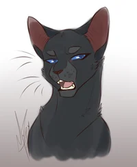 Crowfeather