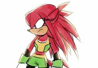 Knora the echidna 