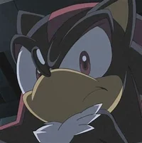 Shadow The Hedgehog