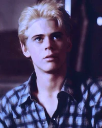 Ponyboy Curtis