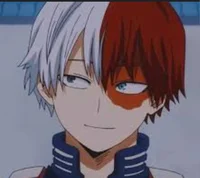 Shoto Todoroki 