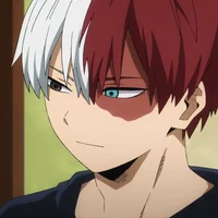 Shoto Todoroki 