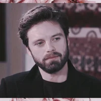 sebastian stan
