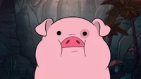Waddles the pig