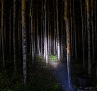 Skinwalker camp trip