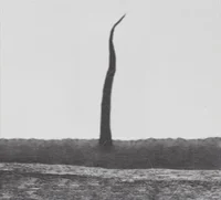 3-WASHINGTONWORMHOLE