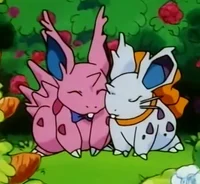 Nidoran couple 