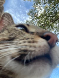 TF141- Doctors Visit