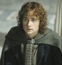 Peregrin Took