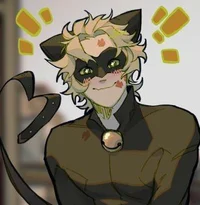Cat Noir