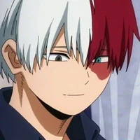 Shoto Todoroki 