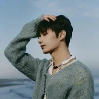 Wen Junhui