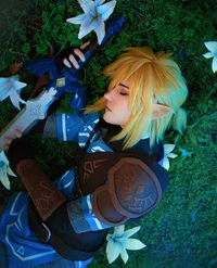 Link - Botw irl