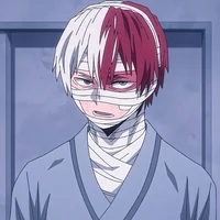 Shoto Todoroki