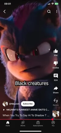Shadow the Hedgehog 