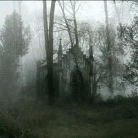 Forgetten Echoes