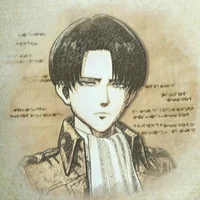 Levi Ackerman 