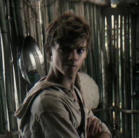 newt