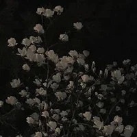 01 - Important stuff