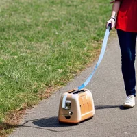 Walking Toaster