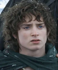 Frodo Baggins