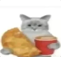 Gato con empanada 