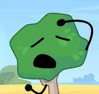 TREE - tpot