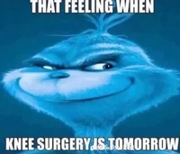 Blue grinch