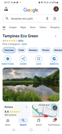 Tampines Eco green 