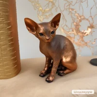 Copper cat