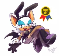 Rouge The Bat