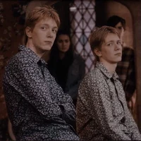 Weasley twins