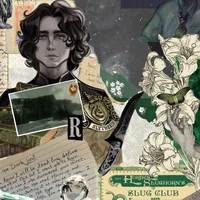 Regulus Black