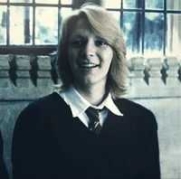 Fred Weasley 