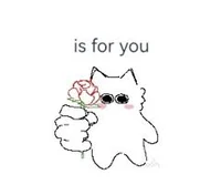 005 - UNDERRATED ACC