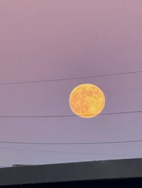 Tf141 and two Bikers