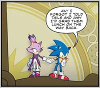 Sonic and Blaze