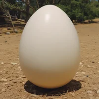 World Record Egg