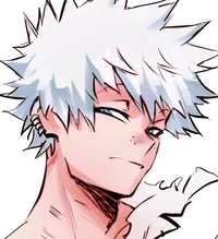 Touya todoroki