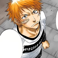 Ichigo Kurosaki 