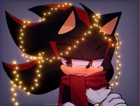 Shadow The Hedgehog