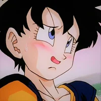 DB - Videl
