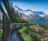 Group of Delinquents