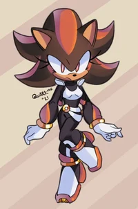 Shadina the Hedgehog