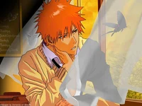 Ichigo Kurosaki 