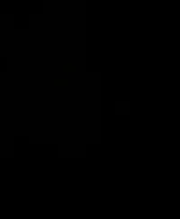 Life of Luxury women