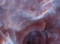 New upper moon jealo