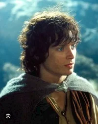 Frodo Baggins